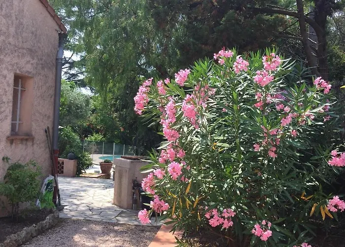 Les Cigales * Сен-Рафаэль