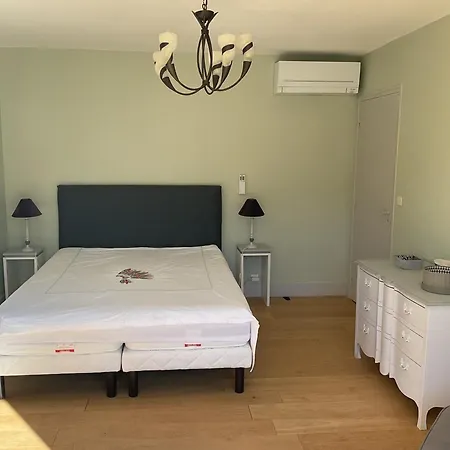 فيلة Les Cigales